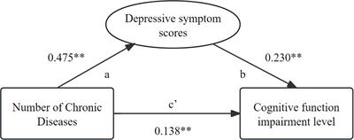Depressive symptom mediates the association between the number of chronic diseases and cognitive impairment: a multi-center cross-sectional study based on community older adults